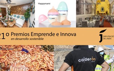 Construcciones Calderón gana el Premio Emprende e Innova de la Diputación de Jaén