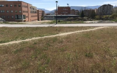 La Universidad de Jaén adjudica la construcción de su Complejo de Investigación a Pinus, Construcciones Calderón y Solar Jiennense