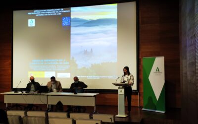 Construcciones Calderón, en las jornadas de Restauración y Recuperación del Patrimonio Histórico-Artístico de Jaén